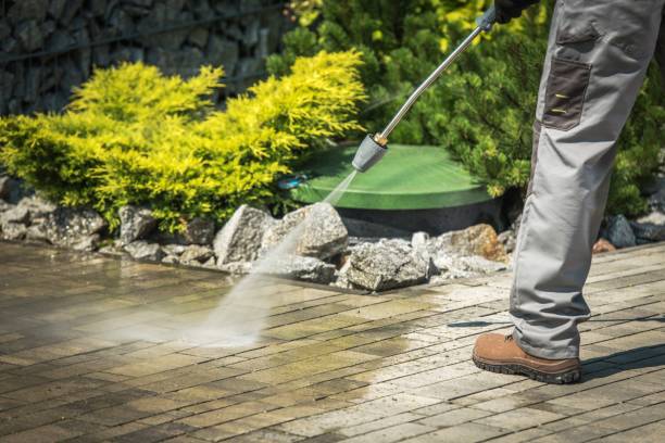 Best Gutter Cleaning  in El Rio, CA
